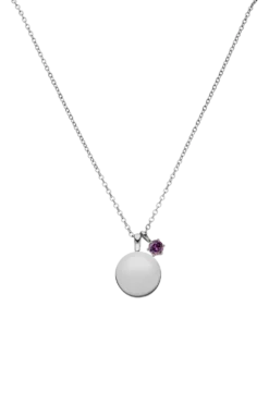 Birthstone February Necklace Silver
