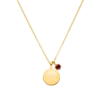 Birthstone January Necklace 14K Gold Plated