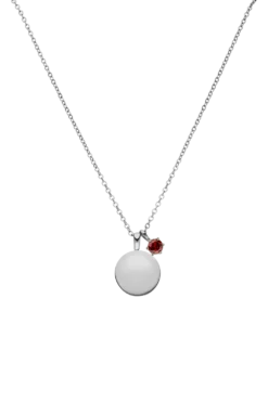 Birthstone January Necklace Silver