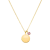 Birthstone July Necklace 14K Gold Plated
