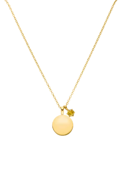 Birthstone November Necklace 14K Gold Plated