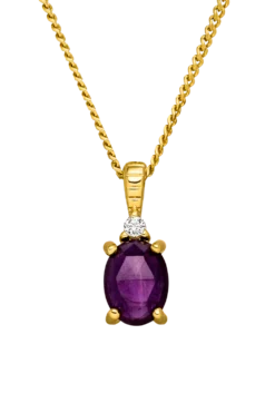 Amethyst Protection Necklace 14K Gold Plated