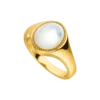 Amalfi Signet Ring 14K Gold Plated